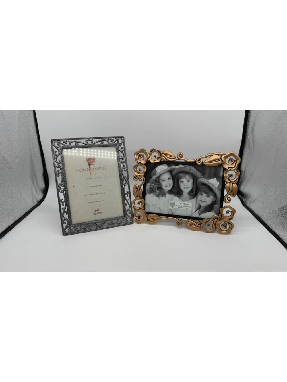 Lot of 2 Metal Floral Picture Frames 5x7 Connoisseur Elsa Rose Scroll Decor
